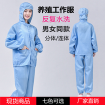 Farm protective clothing deodorant work clothes pig feeding clothes pig factory Siamese split resistant to dirt anti-fouling dust-proof and static electricity