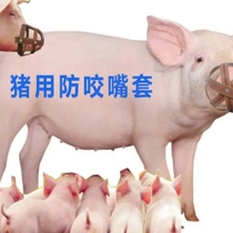 Pig mouth cover sow anti-biting cover pig mouth cage cover pig mouth piglet feeding artifact special cover for cattle sheep dogs horses and pigs