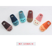 Толстый медвежь