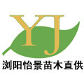 浏阳怡景苗木直供