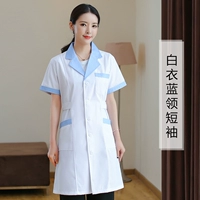 Белый синий -Коллар (женские короткие рукава)