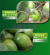 Pitaya set Bird bag grape tree net bag anti-fruit fly melon nylon protection bag big green jujube fruit