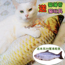 Catnip Grass Carp Toy Mint Pillow Cat Toy Cat Pillow Pet Toy Cat Pillow Catnip Bag