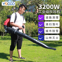 Back Negative Style Greenhouse Blow Snow Machine Wind Fire Extinguisher Engineering Road Administration Blower Petrol Hairdryer Blown by blowing and falling leaves