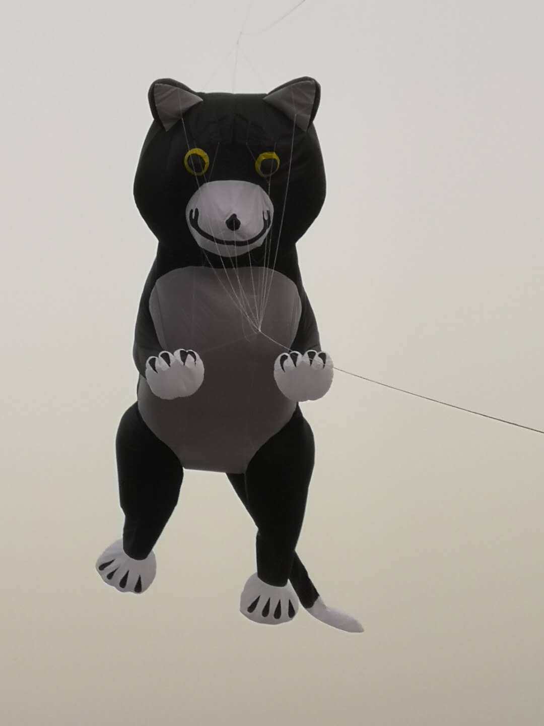 Large software frameless three-dimensional kite pendant cat Breeze easy to fly