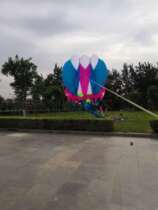 Large soft kite Adult breeze easy to fly without skeleton three-dimensional colorful pendant and solo jellyfish kite
