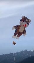 Zaozhuang Feiyue software kite Large three-dimensional multi-color small tiger pendant