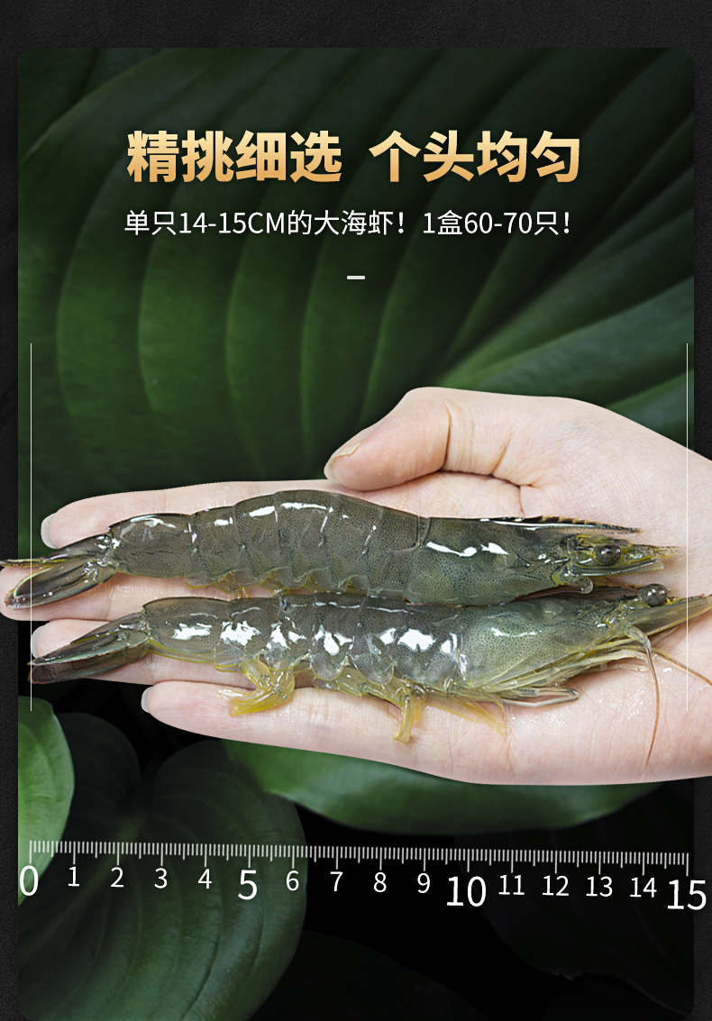 渔公码头 厄瓜多尔白虾 去冰净虾 2.8斤 图4