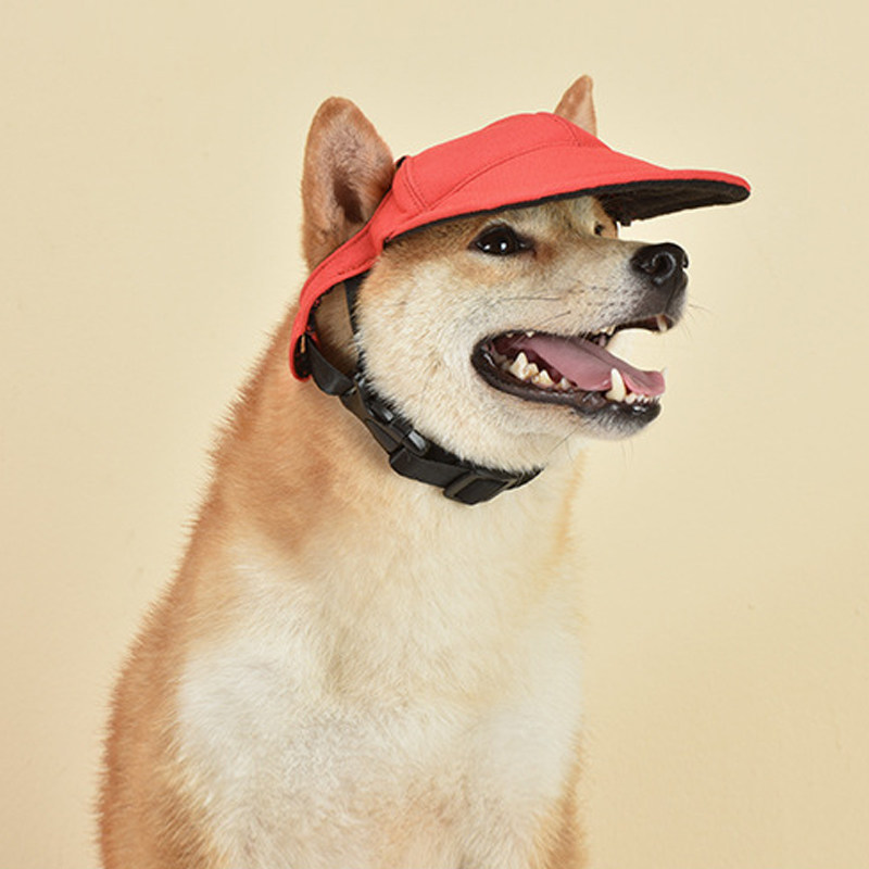 Pet Spring/Summer Sun Hat Dog Baseball Cap Teddy Chai Dog Golden Feet Cap Big and Small Dog Cat Dog Headdress