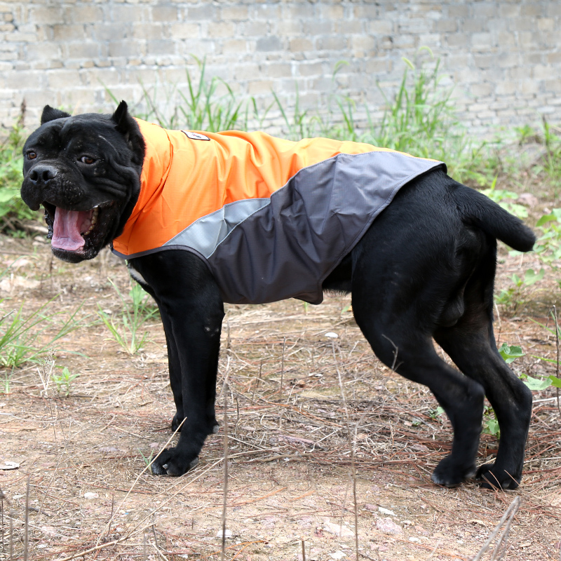 Pet Autumn Winter Style Cotton Clothes Durin Dog Gold Wool Outdoor Reflective Clothing Carro Windproof Hunting Suit Winter Clothing Warm