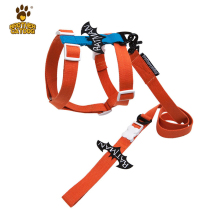 Pet chest strap Dou Teddy leash ins Korean version of walking dog rope Octopus medium and small dog tide dog chain