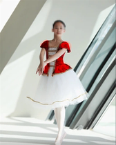 Ballet skirt girls performance clothing childrens competition professional dance clothing burgundy tutu skirt adult long gauze skirt