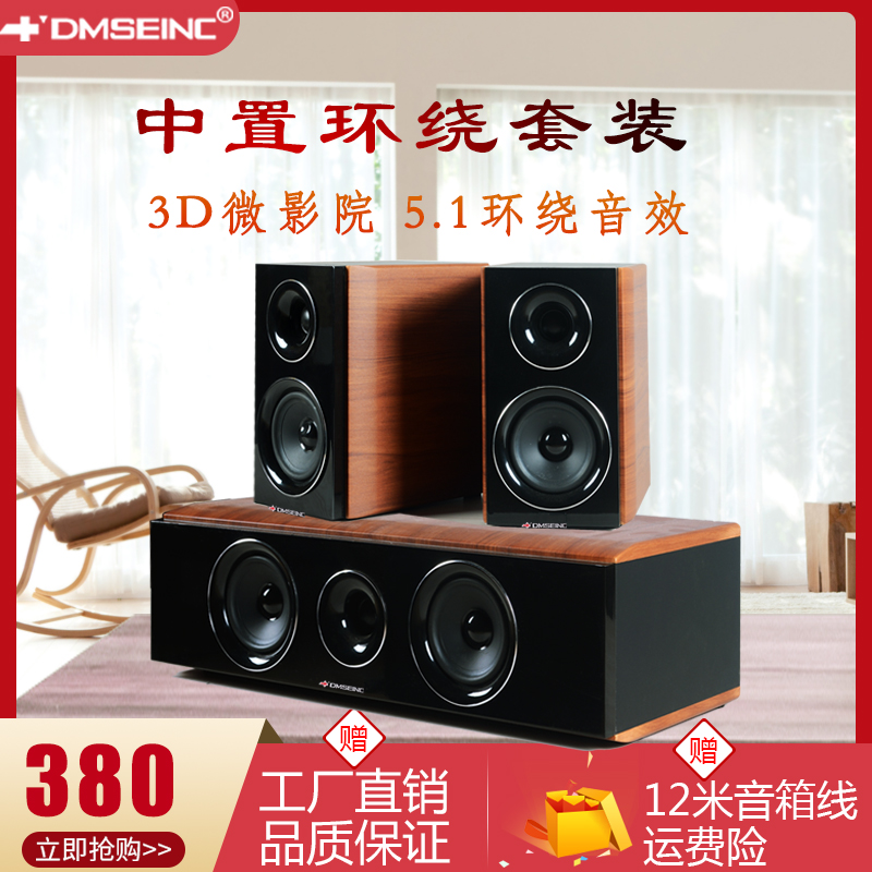 Danish Sheng 5 1 home theater 3D stereo center surround sound home living room passive speaker wall hanging