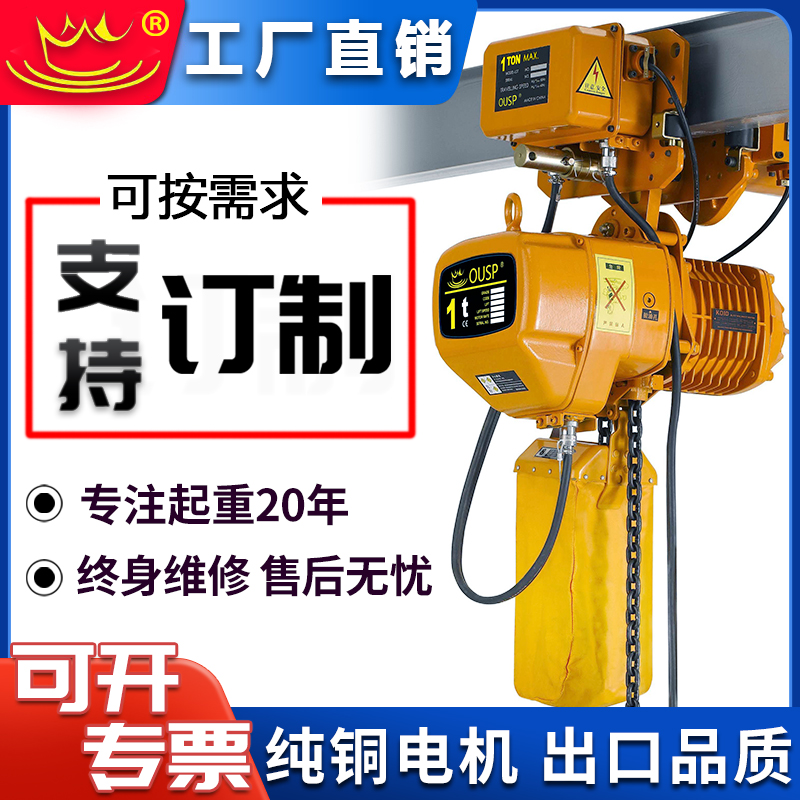 Ghost head chain electric hoist 0 5 tons 1235 tons m 10t chain type small crane lifting 380v row crane