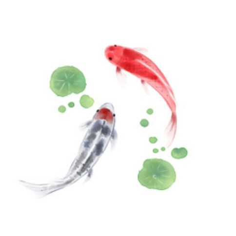 临湘渔具小店