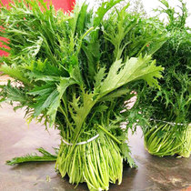 Sherry seeds seeds seeds seeds seeds seeds seeds seeds seeds seeds seeds seeds seeds seeds seeds seeds seeds seeds seeds seeds seeds seeds seeds seeds seeds seeds seeds