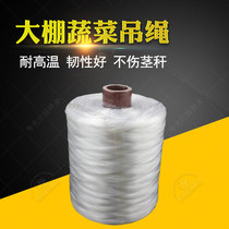 Greenhouse vegetable sling line hanging vine rope tied vine rope Tomato pepper cucumber tomato hanging seedling rope sling plastic rope