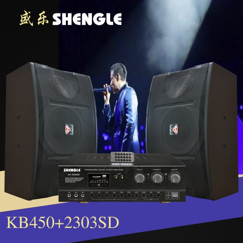 Shengle professional stage audio home KTV conference shop teaching supermarket performance dance speaker amplifier Bluetooth