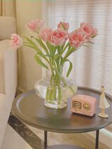 Nordic Modern Minimalist Large Belly Transparent Glass Vase Flower Arrangement Home Hydroponic Flowers Instrumental Living Room Table Hem