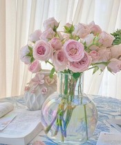 Mandison Nordic Big Belly Round Ball Transparent Glass Vase Flowers Flower Arrangement Peony Rose Living room table hem