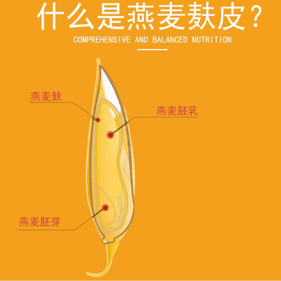 抖音美好奇妙夜2024：这场宝藏晚会，不看真的会后悔！