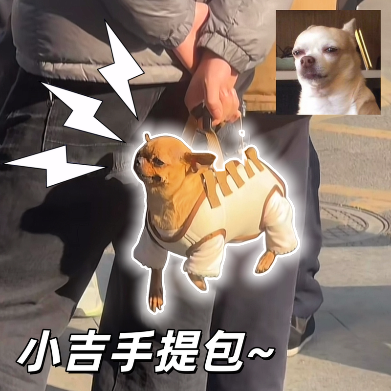 Pet Tote Bag, Travel Bag, Universal for Cats and Dogs, Suitable for Chihuahuas and Small Dogs, with a Breathable Crossbody Strap