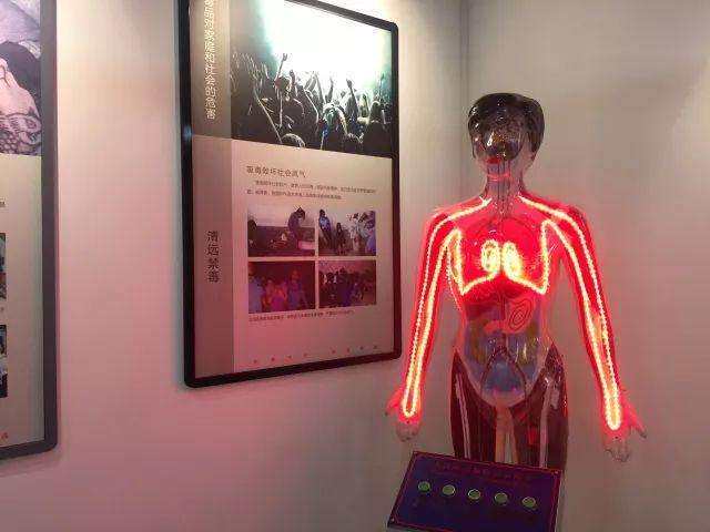 吸毒血液循环模型青少年禁毒教育展示模型人微电脑吸食毒品危害