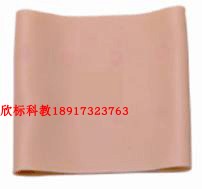 皮内注射外套 皮丘注射模型 皮试肌肉注射模具