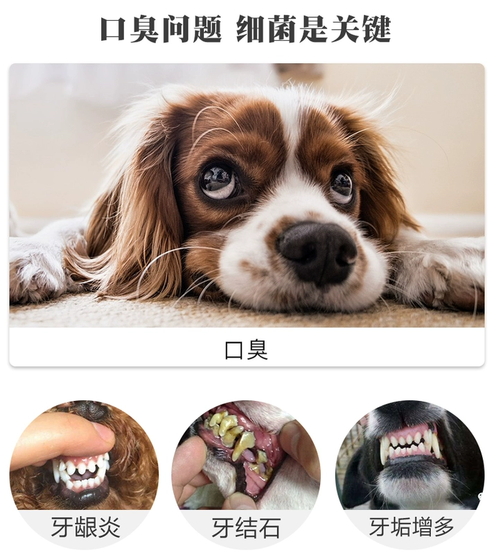 Mai Fudi đồ ăn nhẹ chó rõ ràng răng hàm gậy 220g chó nhỏ chó con răng que Keji Teddy Bomei - Đồ ăn vặt cho chó royal canin giá rẻ
