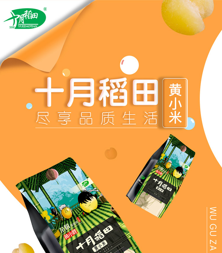 十月稻田黃小米1kg紅谷小米