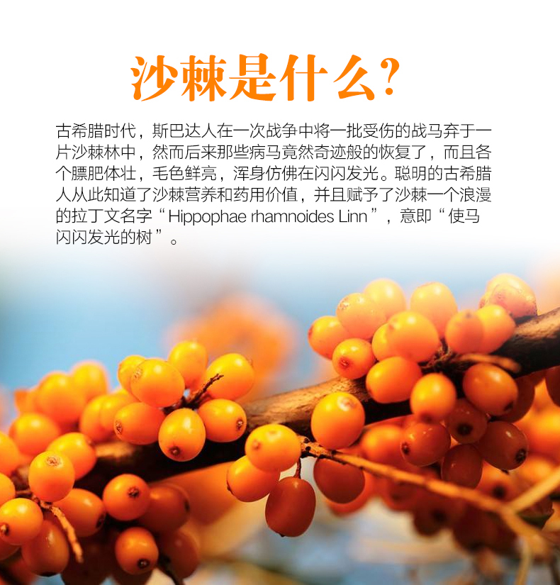 天猫超市 呀啦嗦 沙棘原浆 30ml*10袋 补维C 提高免疫力 图3