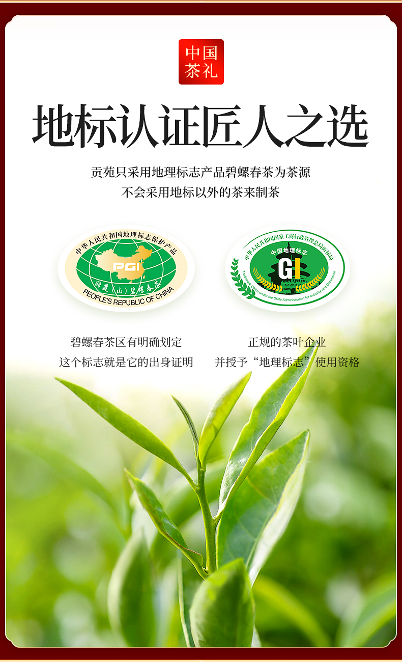 贡苑绿茶特级洞庭碧螺春茶叶礼盒装200g