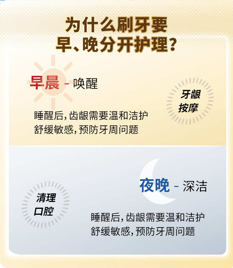 日本原装进口 EBISU 惠百施 宽头护龈 早晚分护牙刷套装 2支 图2