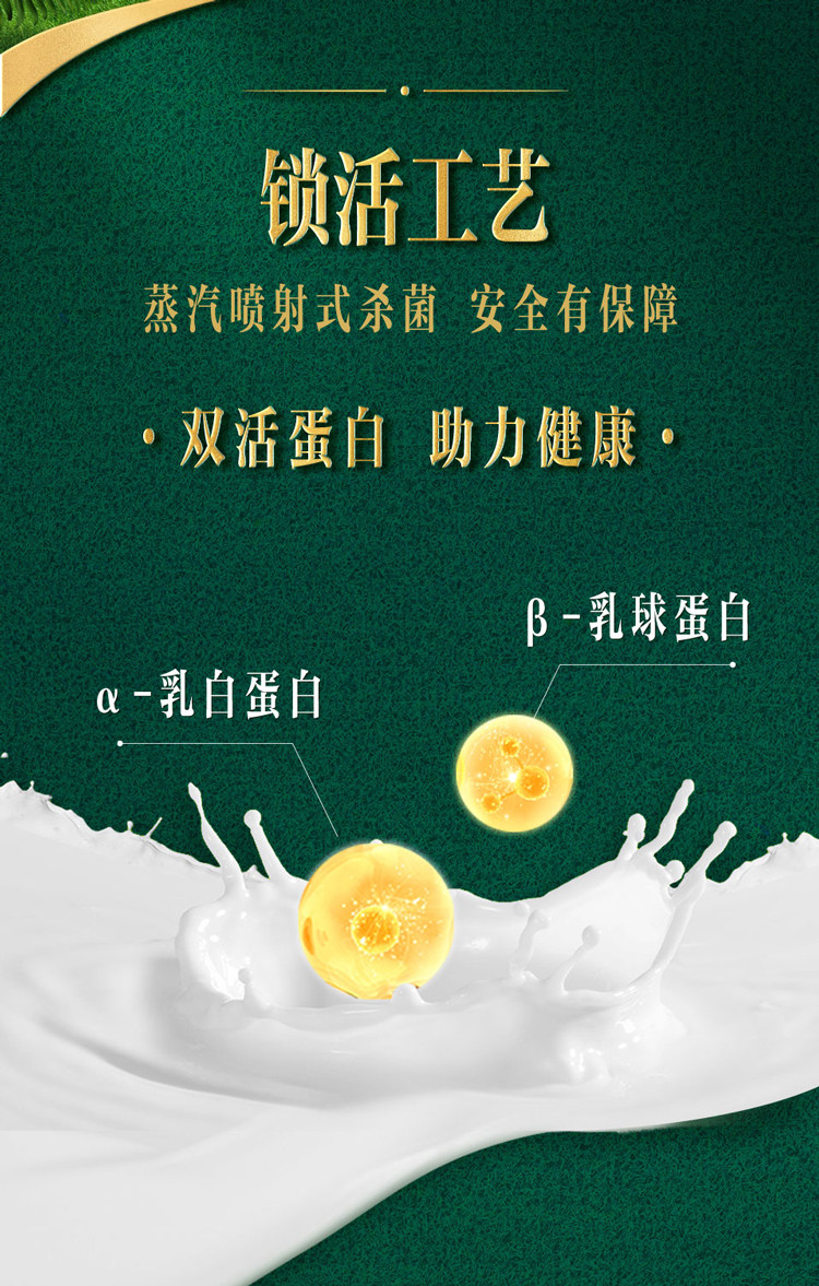 安享好物 安享A级纯奶-君乐宝优萃 有机纯牛奶 国标