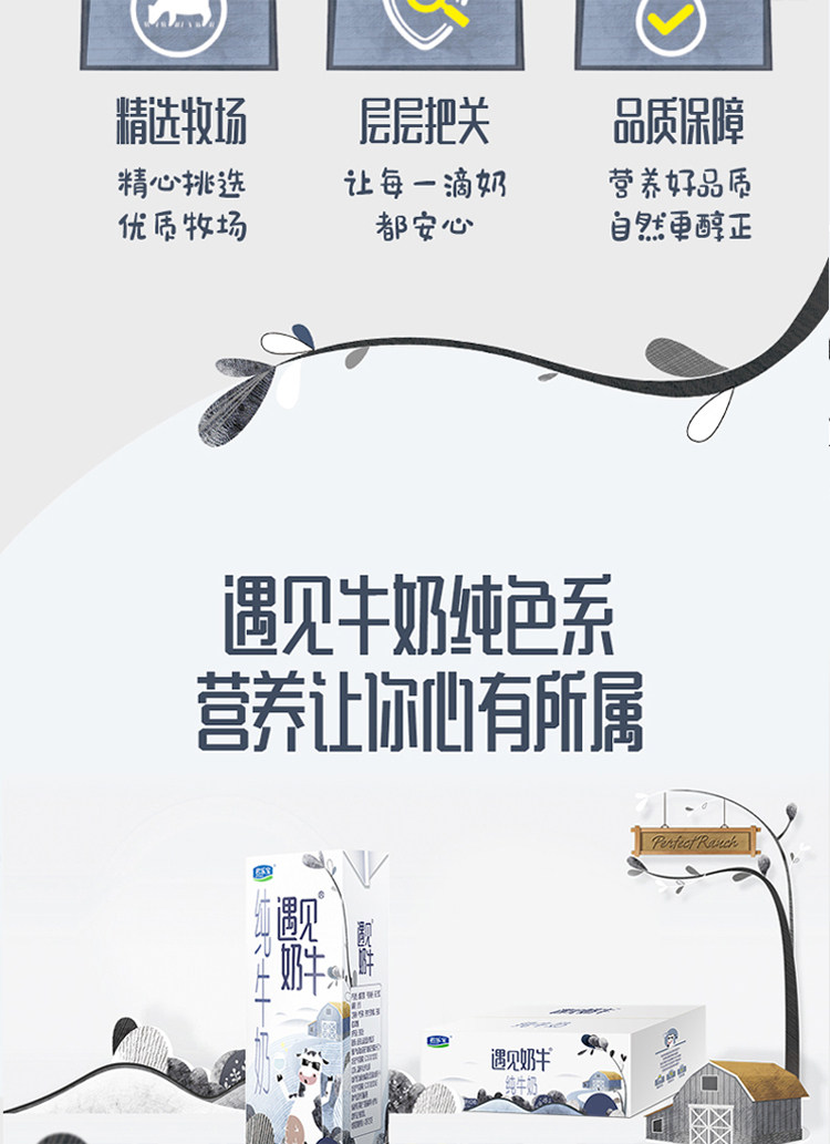 安享好物 安享B级纯奶-君乐宝遇见奶牛纯牛奶 国标 