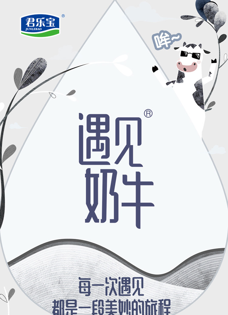 安享好物 安享B级纯奶-君乐宝遇见奶牛纯牛奶 国标 