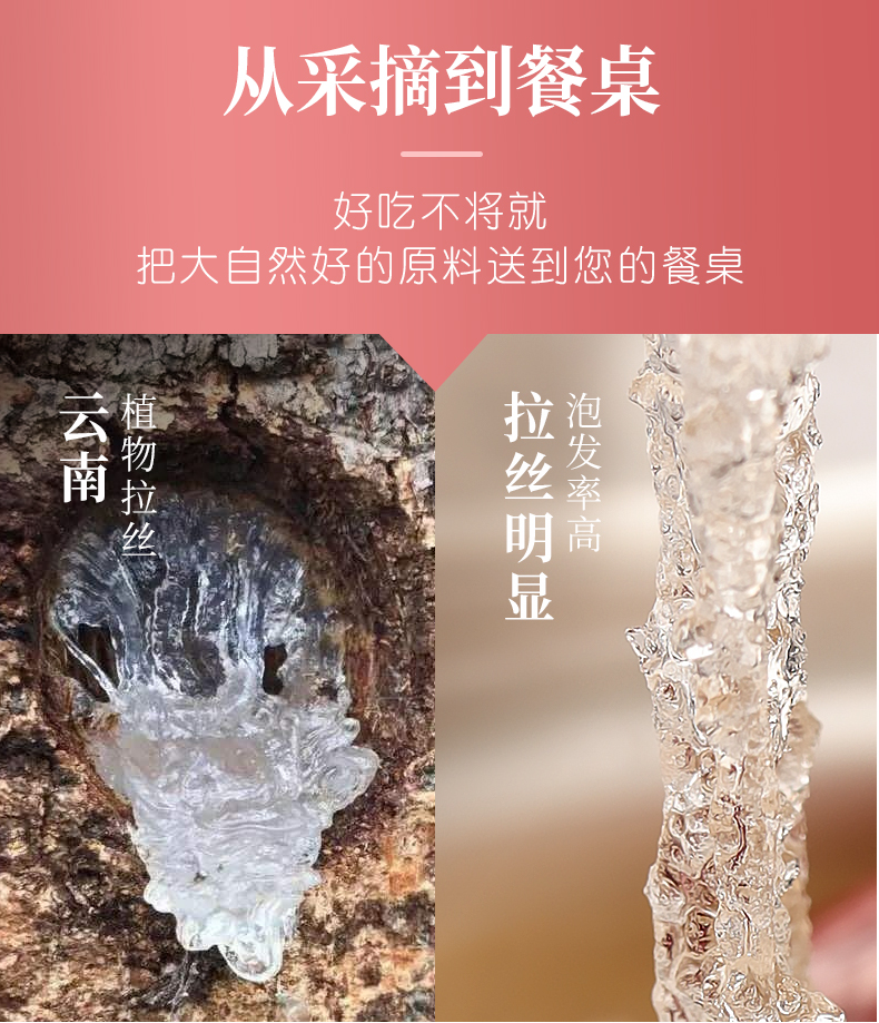 福东海 桃胶皂角米雪燕组合 520g 图17
