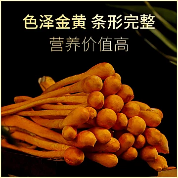 【买1送1】煲汤材料干货虫草花500g[1元优惠券]-寻折猪