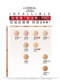 L'Oreal Oil Absorbing Stick PRO Liquid Foundation Concealer ແລະຄວບຄຸມຄວາມມັນ