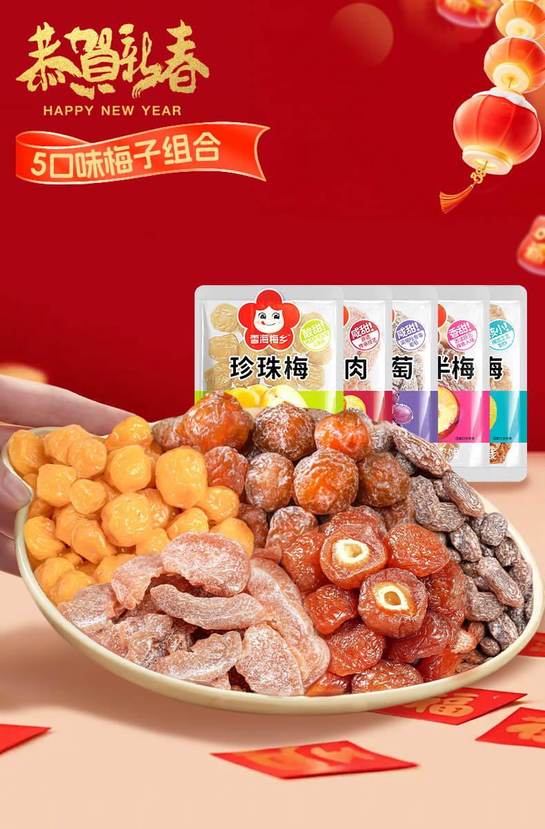 雪海梅乡果干果脯酸梅干5口味500g