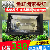 Odyssey 70W Koi color enhancement metal halide lamp 150W aquatic plant halogen koi explosion algae clip lamp Halogen metal halide chandelier