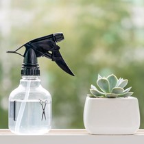 Sprinkler makeup small watering can children shower indoor hair facial gardening tools cute mist hair