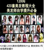 Extension mèches - Ref 219565 Image 25