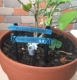 Маленькая вывеска для беседки