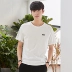 Quần áo Tiancheng 2019 hè mới áo thun nam tay ngắn Hàn Quốc cotton cổ tròn xu hướng nam nửa tay áo