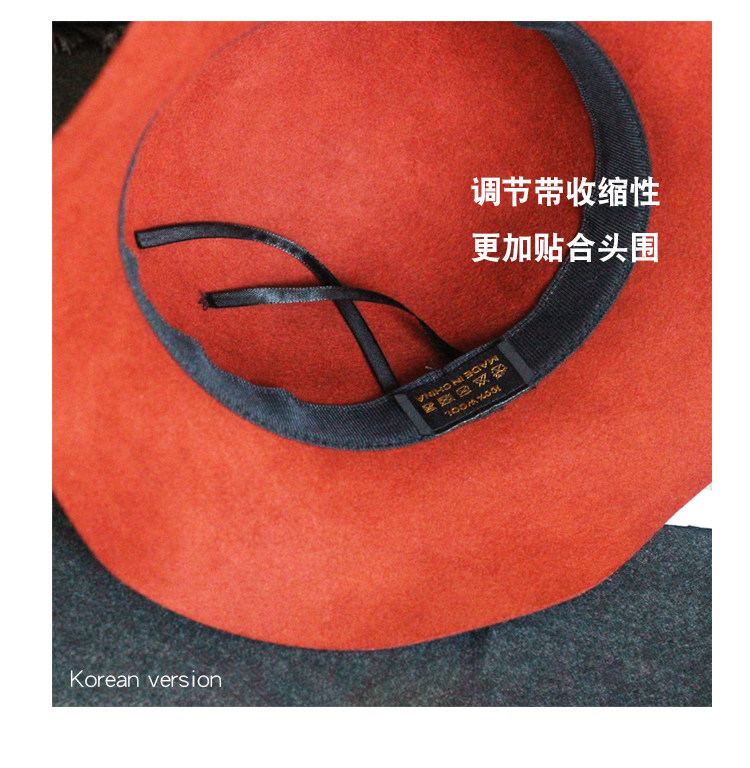 Chapeau pour femme      en Poilue - Ref 3234105 Image 30