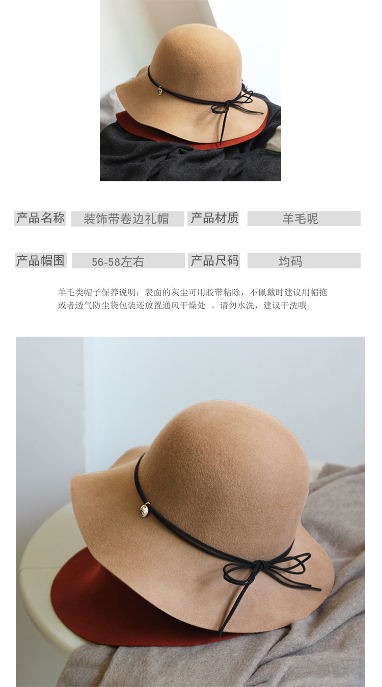 Chapeau pour femme      en Poilue - Ref 3234314 Image 20