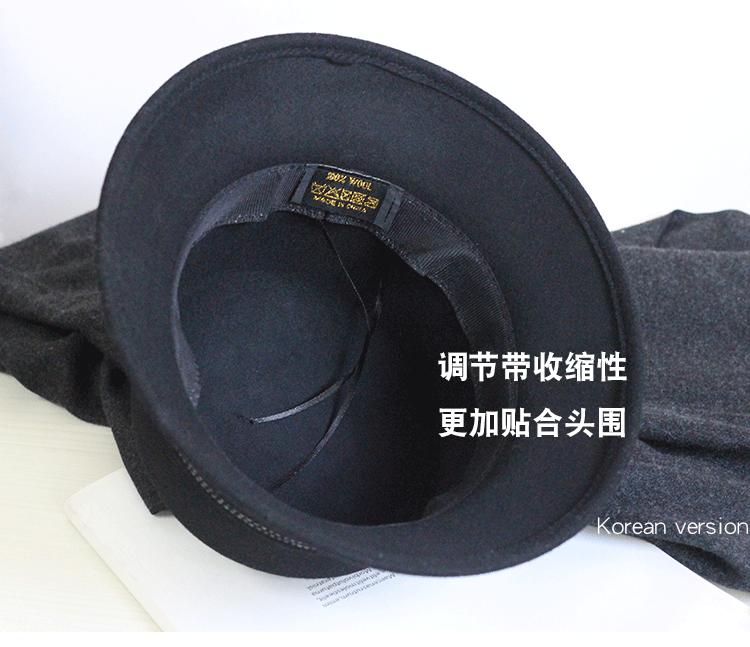 Chapeau pour femme      en Poilue - Ref 3234461 Image 29