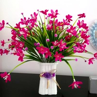 Розовая красная орхидея благословение 3 луча+хорошие бутылки