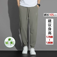 Абрикосовые шелковые штаны, 105см